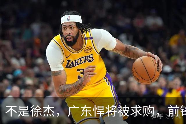 不是徐杰，广东悍将被求购，前锋，杜锋看重，转会费或8位数