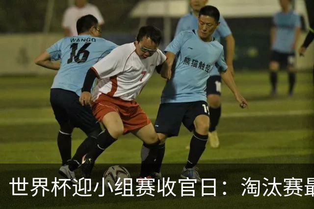 世界杯迎小组赛收官日：淘汰赛最后四席将从八队中产生